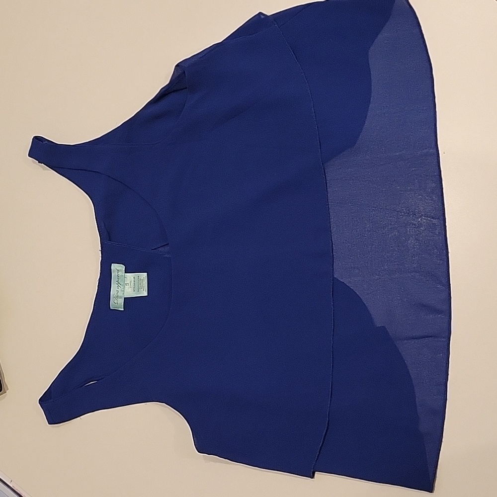 Blue sheer crop top in size Small.